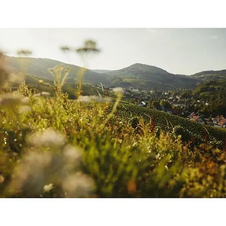 Oma Ludwin 2 Comfortable * Sasbachwalden