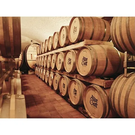 Oma Ludwin 2 Comfortable *