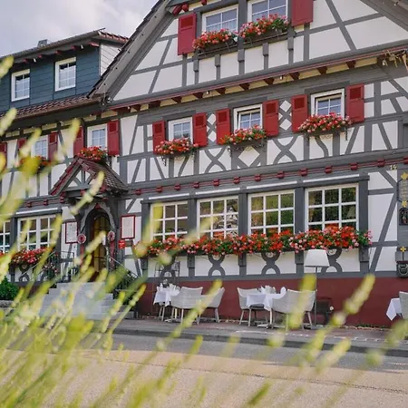Oma Ludwin 2 Comfortable Holiday Sasbachwalden