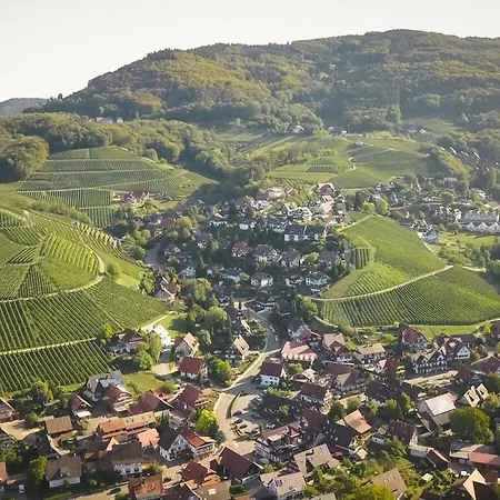 Oma Ludwin 2 Comfortable Holiday * Sasbachwalden