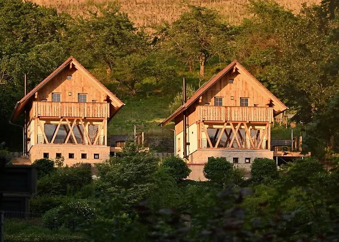 Oma Ludwin 2 Comfortable