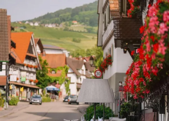 Oma Ludwin 2 Comfortable 度假居 萨巴赫瓦登