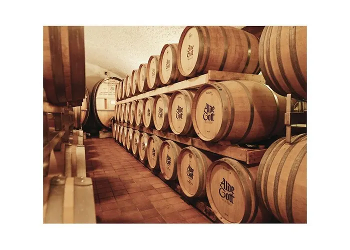 Oma Ludwin 2 Comfortable *