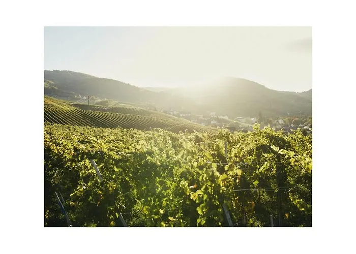 Oma Ludwin 2 Comfortable 萨巴赫瓦登