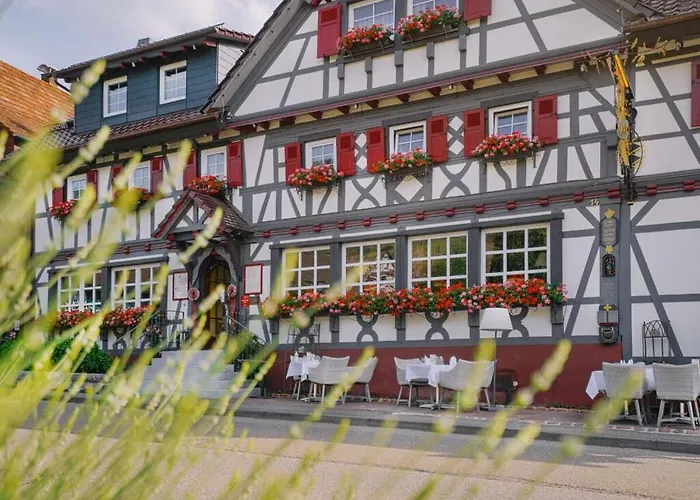 Oma Ludwin 2 Comfortable 萨巴赫瓦登