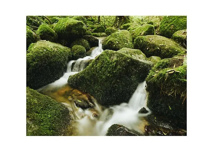 Oma Ludwin 2 Comfortable 度假居